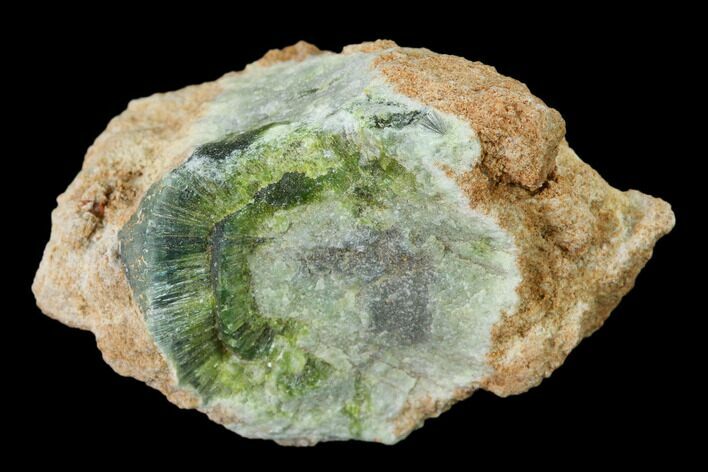 Radiating, Green Wavellite Crystal Aggregation - Arkansas #135959